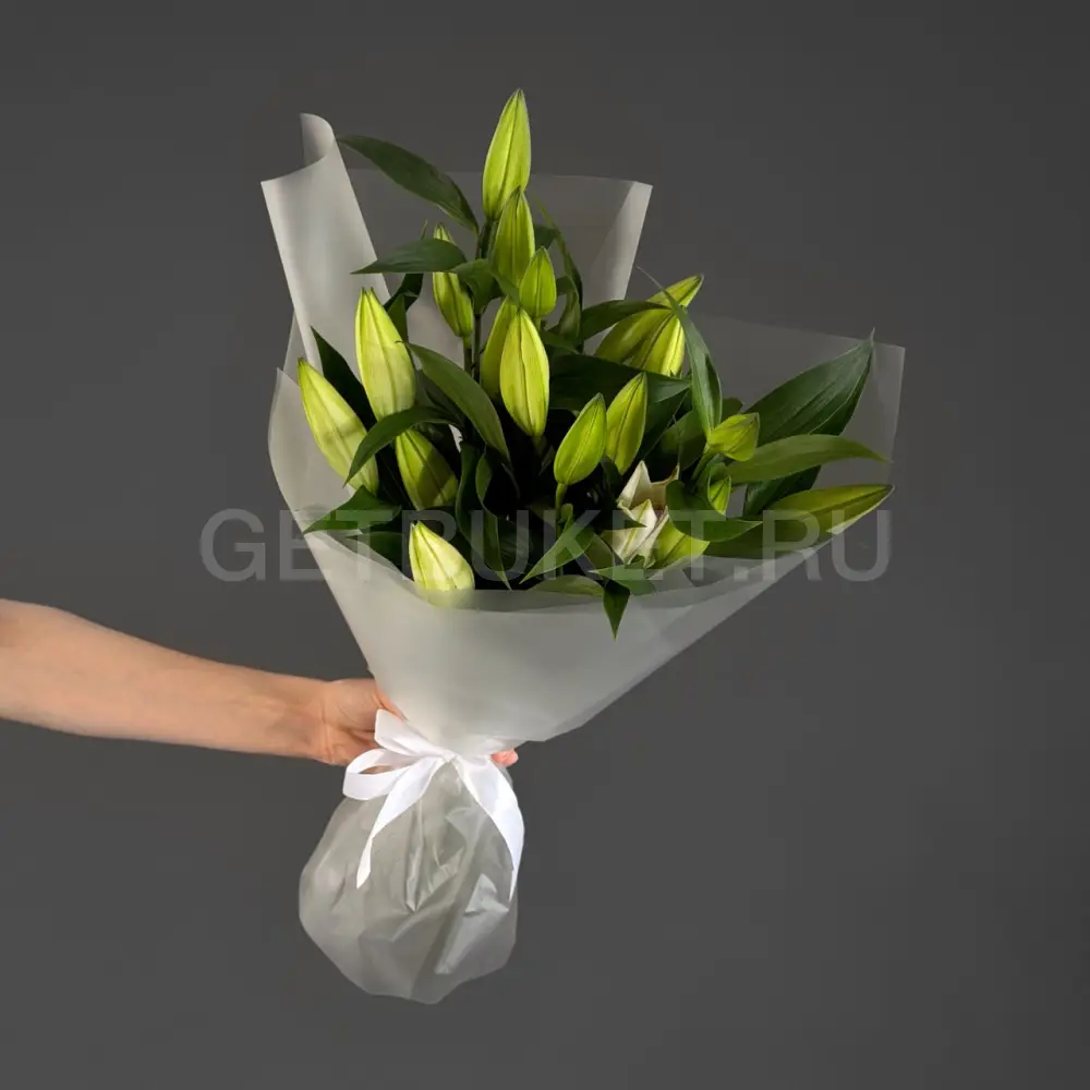 231609 Букет из 7 лилий в упаковке