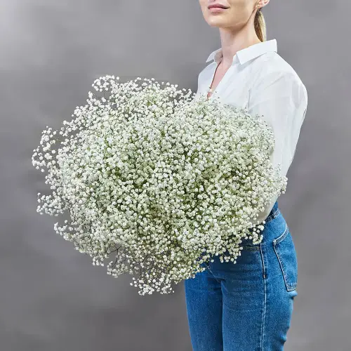 Букет из 25 гипсофил